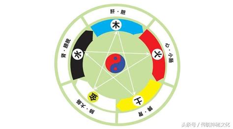 五行補金